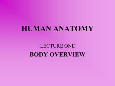 HUMAN ANATOMY LECTURE ONE BODY OVERVIEW. ANATOMY TOPICS Gross or macroscopic: structures examined without a microscope - Regional: studied by area - Systemic: