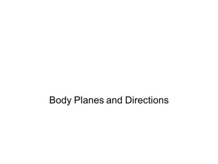 Body Planes and Directions