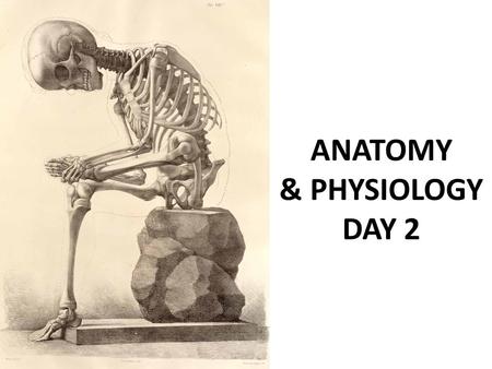 ANATOMY & PHYSIOLOGY DAY 2.