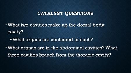 What two cavities make up the dorsal body cavity?