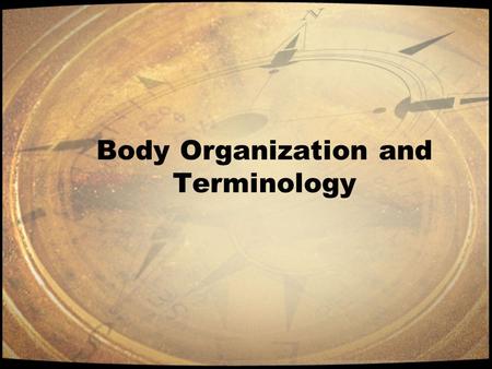 Body Organization and Terminology. Introduction Anatomy –The study of the form and structure of an organism. Physiology – The study of the processes of.