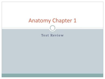 Test Review Anatomy Chapter 1. Please select a Team. 1. The Carpals 2. The Coronals 3. The Hypochondriacs 4. The Lumbars 5. The Dorsals 6. The Thoracics.