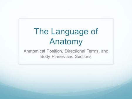 The Language of Anatomy Anatomical Position, Directional Terms, and Body Planes and Sections.