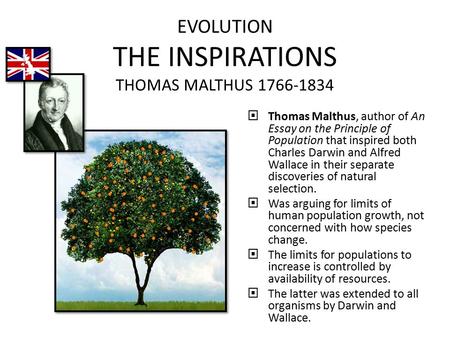 EVOLUTION THE INSPIRATIONS THOMAS MALTHUS 1766-1834  Thomas Malthus, author of An Essay on the Principle of Population that inspired both Charles Darwin.