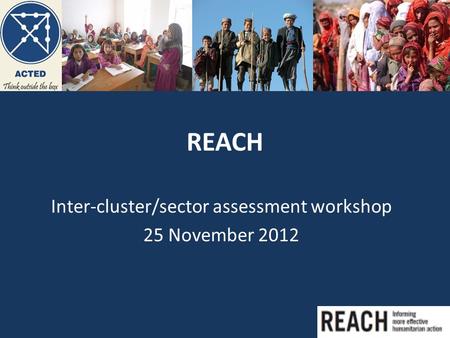 REACH Inter-cluster/sector assessment workshop 25 November 2012.