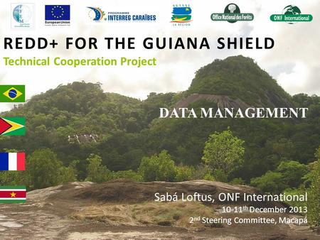REDD+ FOR THE GUIANA SHIELD Technical Cooperation Project DATA MANAGEMENT Sabá Loftus, ONF International 10-11 th December 2013 2 nd Steering Committee,