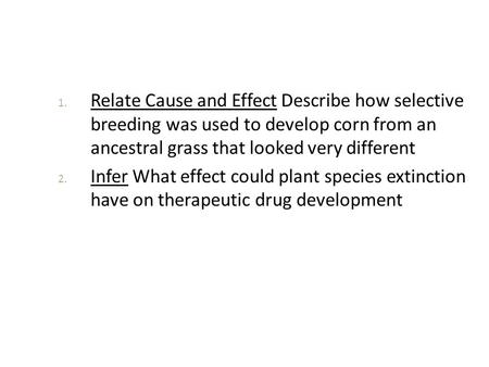 Relate Cause and Effect Describe how selective breeding was used to develop corn from an ancestral grass that looked very different Infer What effect.