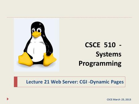 CSCE 510 - Systems Programming Lecture 21 Web Server: CGI -Dynamic Pages CSCE March 25, 2013.