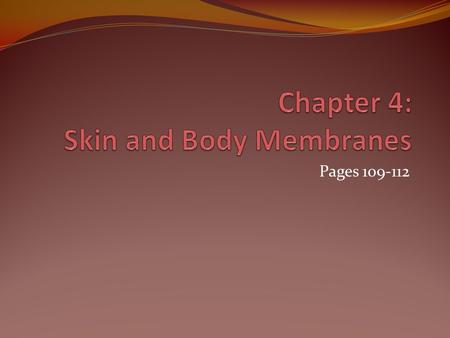Chapter 4: Skin and Body Membranes