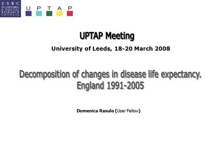 University of Leeds, 18-20 March 2008 Domenica Rasulo (User Fellow)