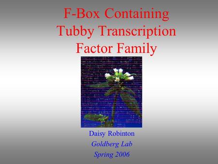 F-Box Containing Tubby Transcription Factor Family Daisy Robinton Goldberg Lab Spring 2006.