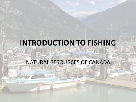INTRODUCTION TO FISHING