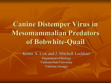 Canine Distemper Virus in Mesomammalian Predators of Bobwhite-Quail Krista A. Cox and J. Mitchell Lockhart Department of Biology Valdosta State University.