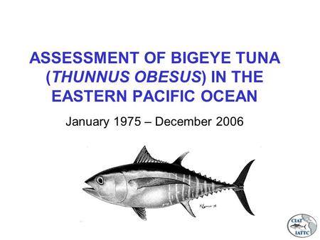ASSESSMENT OF BIGEYE TUNA (THUNNUS OBESUS) IN THE EASTERN PACIFIC OCEAN January 1975 – December 2006.