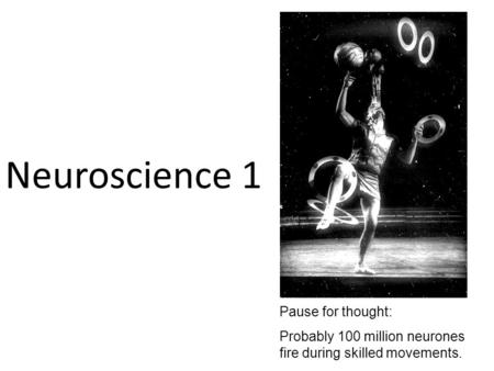Neuroscience 1 Pause for thought: Probably 100 million neurones fire during skilled movements.