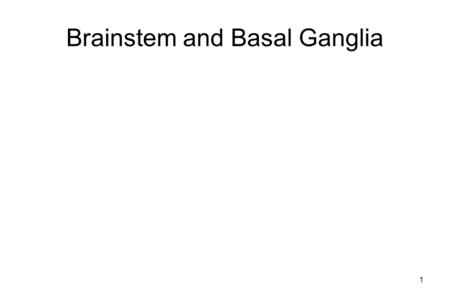 Brainstem and Basal Ganglia