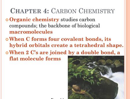 C HAPTER 4: C ARBON C HEMISTRY Organic chemistry studies carbon compounds; the backbone of biological macromolecules When C forms four covalent bonds,