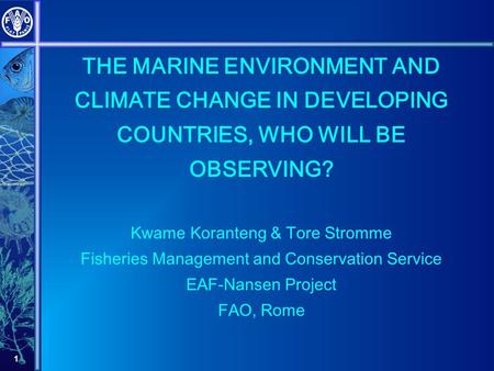 1 THE MARINE ENVIRONMENT AND CLIMATE CHANGE IN DEVELOPING COUNTRIES, WHO WILL BE OBSERVING? Kwame Koranteng & Tore Stromme Fisheries Management and Conservation.