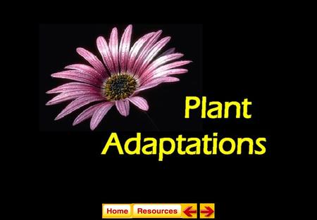 Plant Adaptations (21.1, 22.4, & 22.3) State Standard