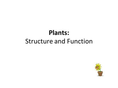 Plants: Structure and Function