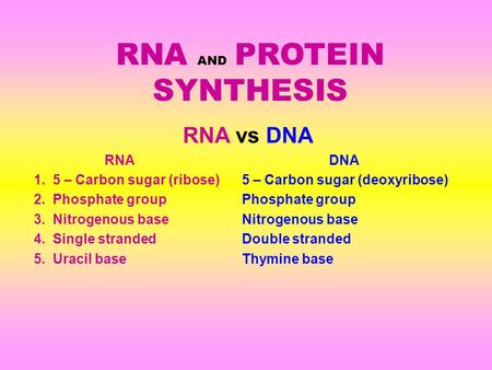 RNA AND PROTEIN SYNTHESIS RNA vs DNA RNADNA 1. 5 – Carbon sugar (ribose) 5 – Carbon sugar (deoxyribose) 2. Phosphate group Phosphate group 3. Nitrogenous.