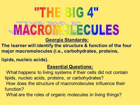 Georgia Standards: The learner will identify the structure & function of the four major macromolecules (i.e., carbohydrates, proteins, lipids, nucleic.