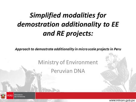 Simplified modalities for demostration additionality to EE and RE projects: Approach to demostrate additionality in micro scale projects in Peru Ministry.
