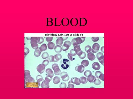 BLOOD Components of Blood Red blood cells = erythrocytes White blood cells = leukocytes Cell fragments = platelets Liquid = plasma.
