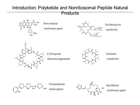 Introduction: Polyketide and Nonribosomal Peptide Natural Products Doxorubicin -Antitumor agent Cyclosporin -Immunosuppressant Yersiniabactin -Siderophore.