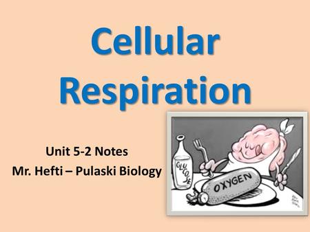 Cellular Respiration Unit 5-2 Notes Mr. Hefti – Pulaski Biology.