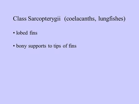 Class Sarcopterygii (coelacanths, lungfishes) lobed fins bony supports to tips of fins.