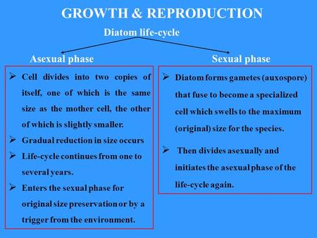  Diatom forms gametes (auxospore) that fuse to become a specialized cell which swells to the maximum (original) size for the species.  Then divides asexually.