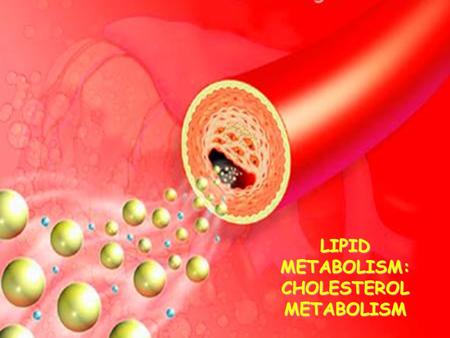 LIPID METABOLISM: CHOLESTEROL METABOLISM. Functions of Cholesterol a precursor of steroid hormones (progesterone, testosterone, estradiol, cortisol, etc.)