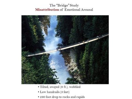 The “Bridge” Study Misattribution of Emotional Arousal Tilted, swayed (6 ft.), wobbled Low handrails (3 feet) 230 foot drop to rocks and rapids.