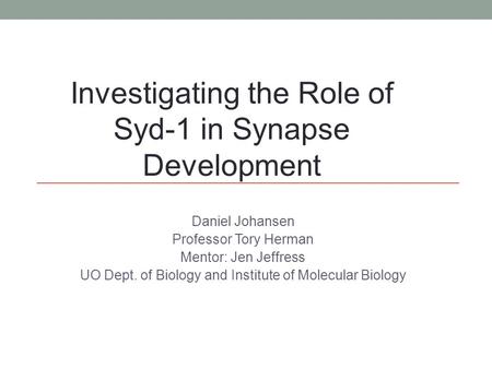 Daniel Johansen Professor Tory Herman Mentor: Jen Jeffress UO Dept. of Biology and Institute of Molecular Biology Investigating the Role of Syd-1 in Synapse.