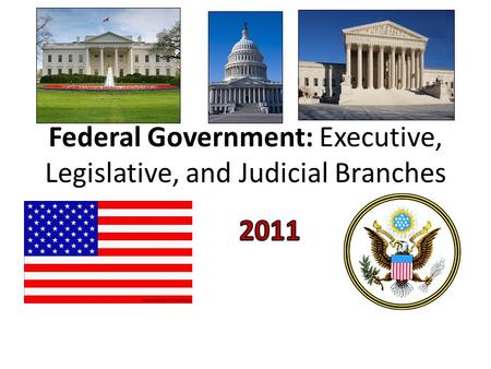 Federal Government: Executive, Legislative, and Judicial Branches.