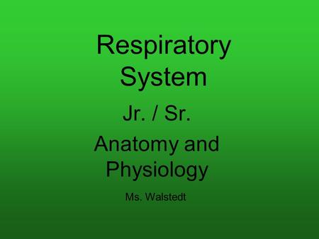 Respiratory System Jr. / Sr. Anatomy and Physiology Ms. Walstedt.