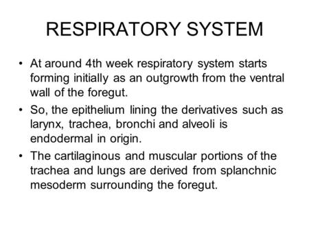 RESPIRATORY SYSTEM At around 4th week respiratory system starts forming initially as an outgrowth from the ventral wall of the foregut. So, the epithelium.