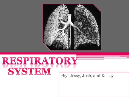 ◦by: Jessy, Josh, and Kelsey. Vocabulary Respiration- is the entire process by which a body obtains and uses oxygen and gets rid of carbon dioxide and.