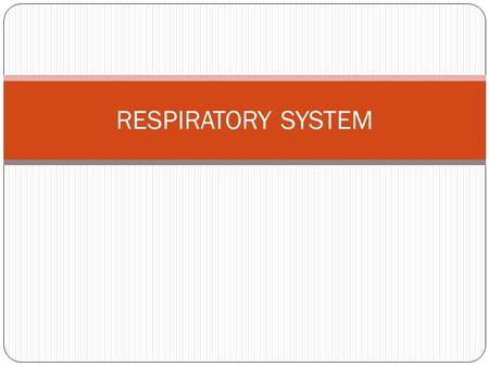 RESPIRATORY SYSTEM. Lower respiratory tract It includes: A. Trachea, B. Lungs, C. Bronchi. It includes: A. Trachea, B. Lungs, C. Bronchi.