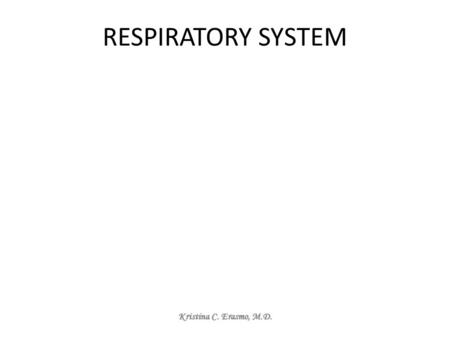 RESPIRATORY SYSTEM Kristina C. Erasmo, M.D.. Respiratory System Main function: gas exchange (intake of oxygen by the blood, eliminate carbon dioxide)