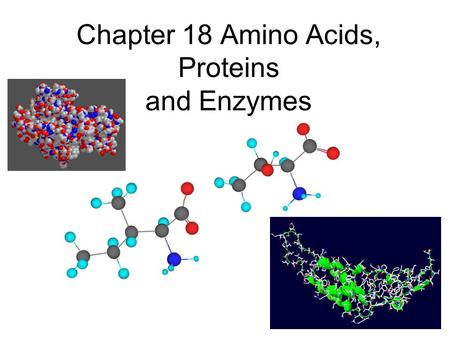 Chapter 18 Amino Acids, Proteins and Enzymes. Amino Acids 20 amino acids; all are α-amino acids:
