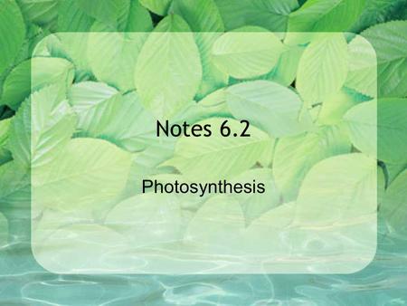 Notes 6.2 Photosynthesis. Standards CLE 3210.3.3 Investigate the relationship between the processes of photosynthesis and cellular respiration. SPI 3210.3.3.