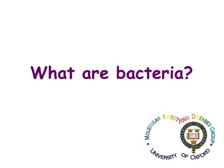 What are bacteria?. Bacteria are single celled organisms that lack a nucleus, and multiply by cell division. Are they eukaryotic or prokaryotic cells?