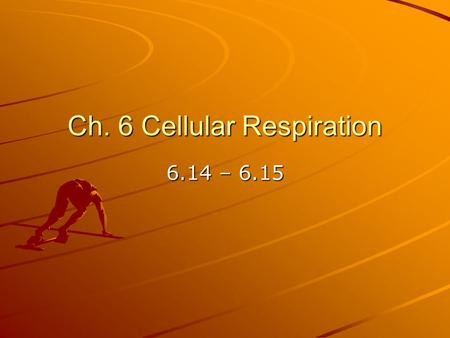 Ch. 6 Cellular Respiration 6.14 – 6.15. Review: Each molecule of glucose yields many molecules of ATP Where do glycolysis & Krebs cycle take place & how.