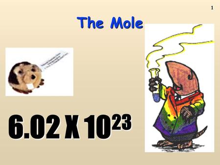 1 The Mole 6.02 X 10 23 2 AVOGADRO’S NUMBER AND MOLAR CONVERSIONS TEXTBOOK PAGE 224 READ P 224 TO 228 DO PRACTICE QUESTIONS 1 TO 4 PAGE 228.
