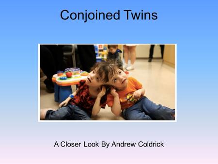 Conjoined Twins A Closer Look By Andrew Coldrick.