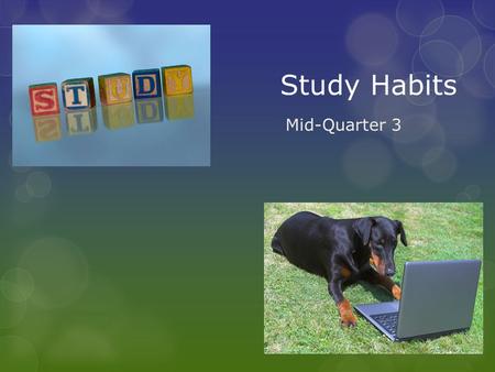 Study Habits Mid-Quarter 3. What now?  Progress Reports  Are you satisfied/happy with your grades?  What do these grades mean?  The semester is ¼.
