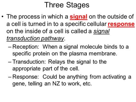 Three Stages The process in which a signal on the outside of a cell is turned in to a specific cellular response on the inside of a cell is called a signal.