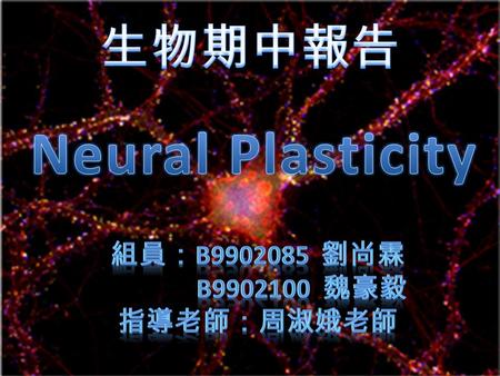 What is Neural Plasticity neuroplasticity, brain plasticity, cortical plasticity the ability to reorganize itself by forming or deceasing new neural connections.